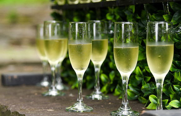 Sobel_Williamson_Wedding_061425_042