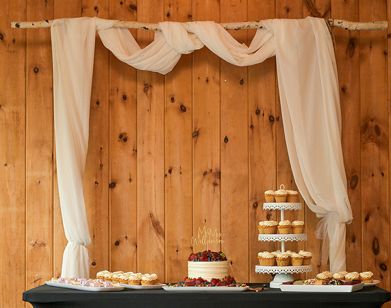 Sobel_Williamson_Wedding_061425_149