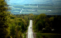 FLX_Natl_Forest_18