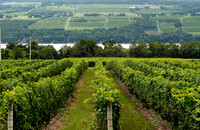 FINGERLAKES.OD.11