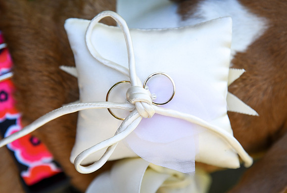 Roe_D'Amore_Wedding_070