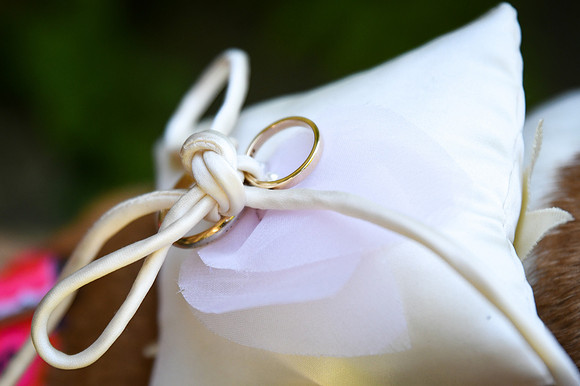 Roe_D'Amore_Wedding_071