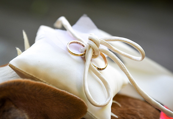 Roe_D'Amore_Wedding_073