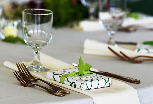 Roe_D'Amore_Wedding_135