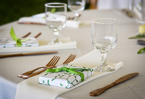 Roe_D'Amore_Wedding_136