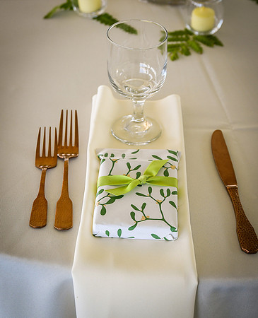Roe_D'Amore_Wedding_137