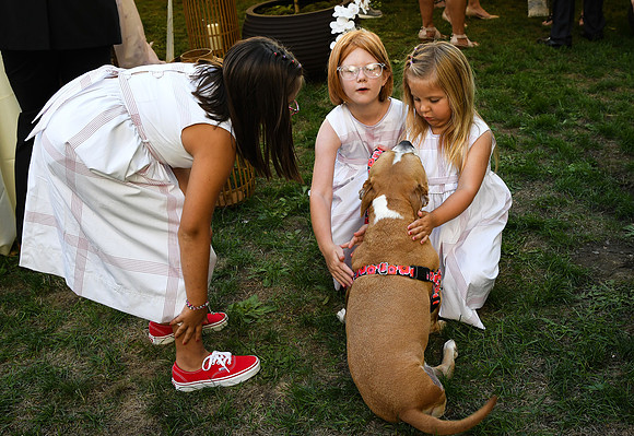 Roe_D'Amore_Wedding_174