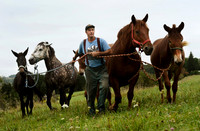 HorsePower01 4