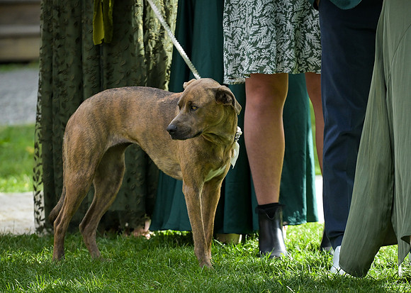 Zetkulic_Whitmore_Wedding_090724_055