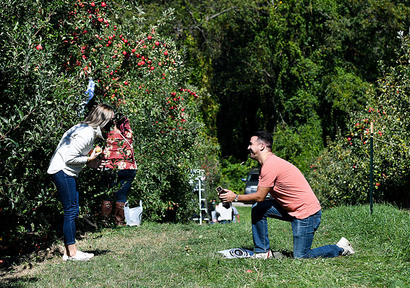 Prosonic_Engagement_002
