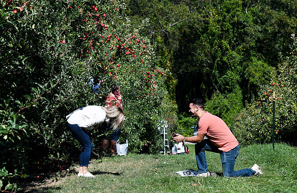 Prosonic_Engagement_003