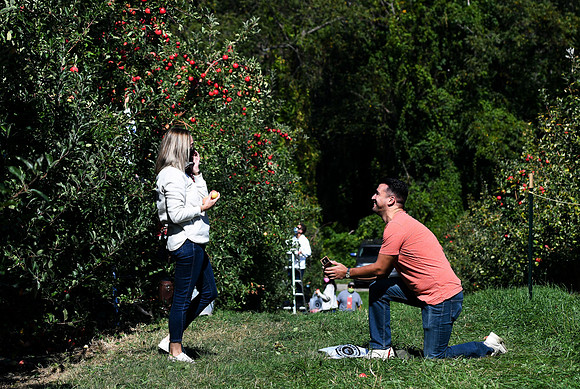 Prosonic_Engagement_005