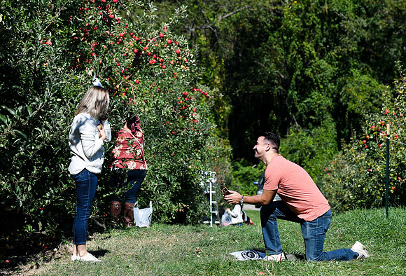 Prosonic_Engagement_004