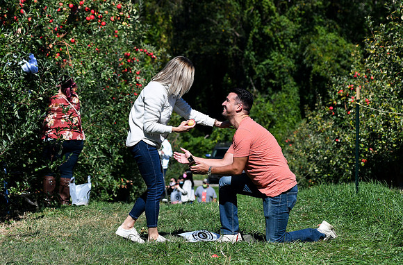 Prosonic_Engagement_006