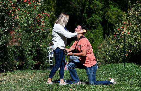 Prosonic_Engagement_007