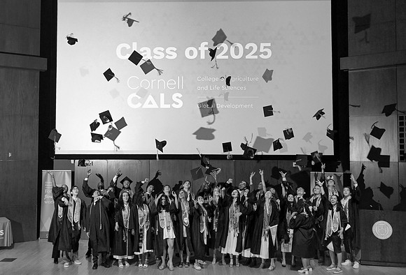 Global_Development_Graduation_2025_152